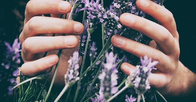 Mobile Chair Massage